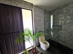 Serangoon Garden Estate (D19), Semi-Detached #488733411